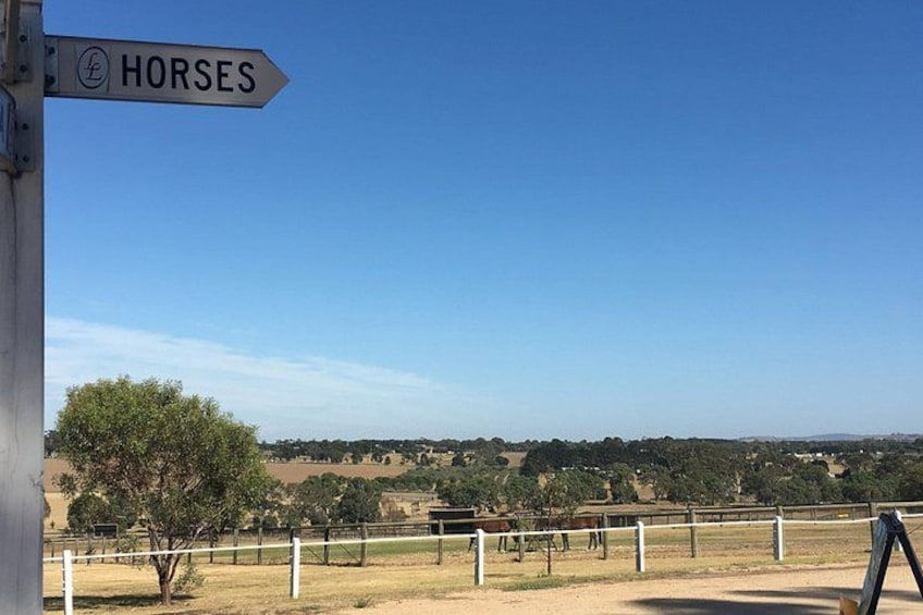 A sign indicating the direction to horses, a fenced area, and a distant landscape with trees and hills. 5