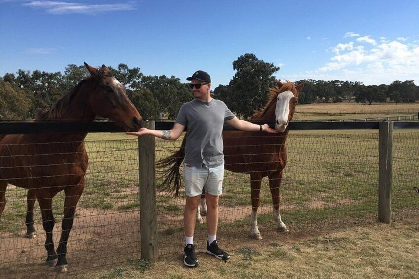 Living Legends with Rogan Josh and Apache Cat 2