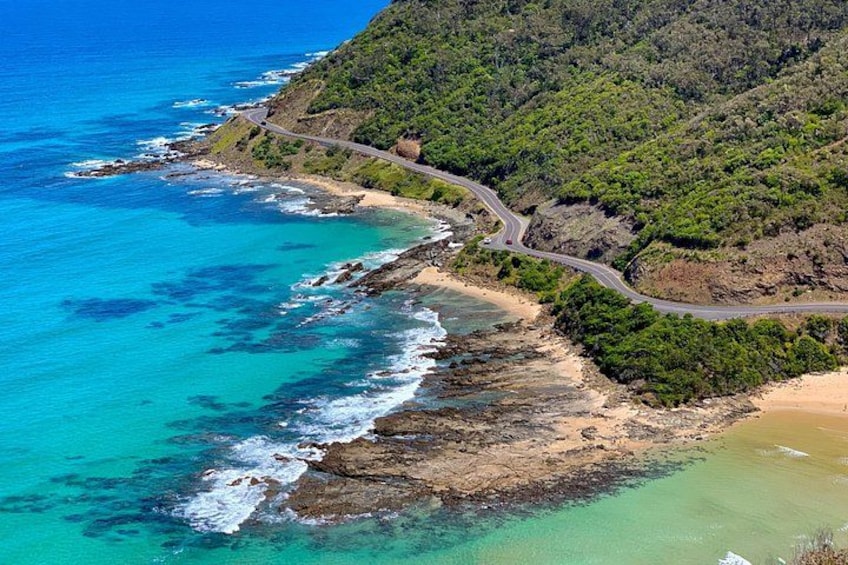 Private and Customised Great Ocean Road and Luxury Tour 4