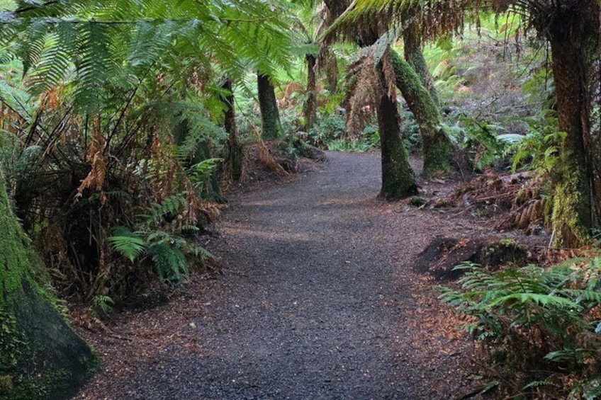 Private and Customised Great Ocean Road and Luxury Tour 2