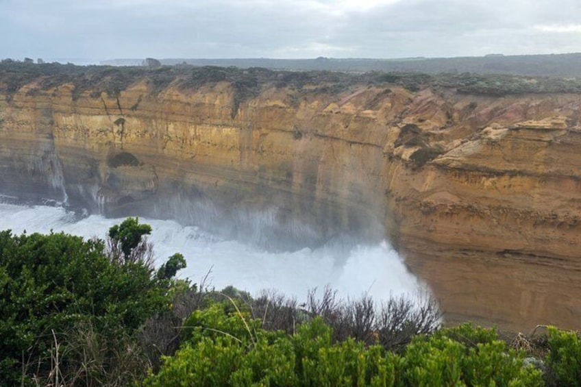Private and Customised Great Ocean Road and Luxury Tour 4