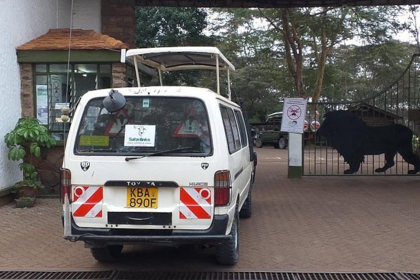 A white safari vehicle with a roof rack parked in front of a building with a sign that reads 'SafariLink.' 5