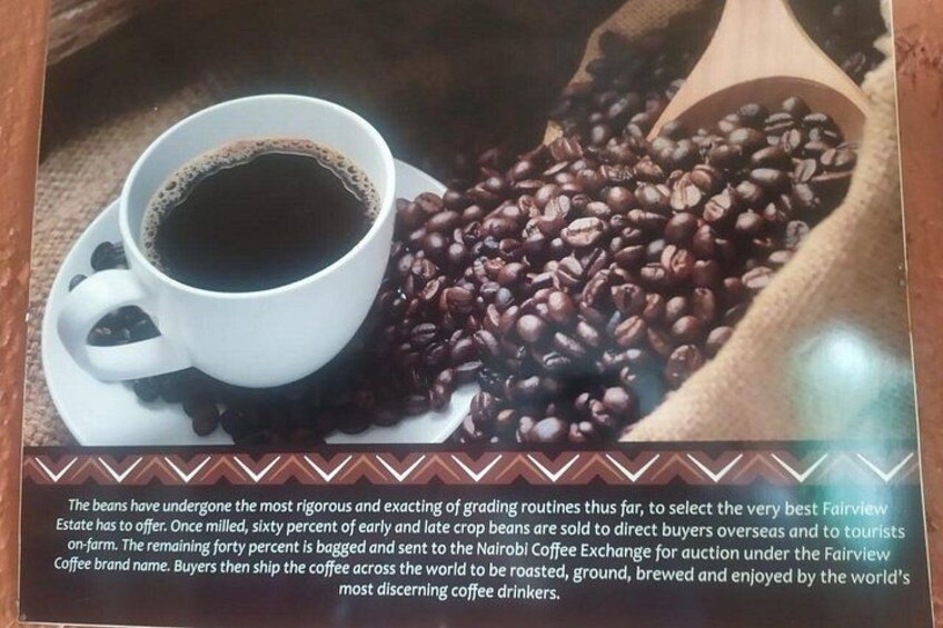 A cup of coffee and coffee beans. 3