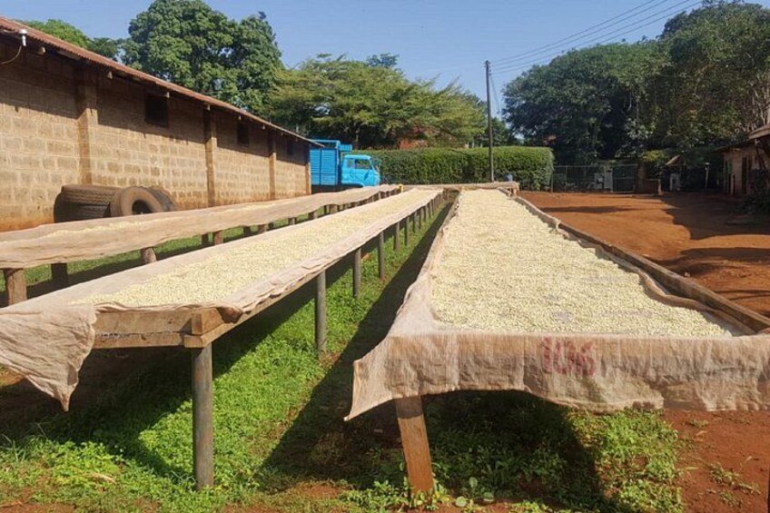 A conveyor belt system with bags of grain, a blue truck, and a building in the background. 5