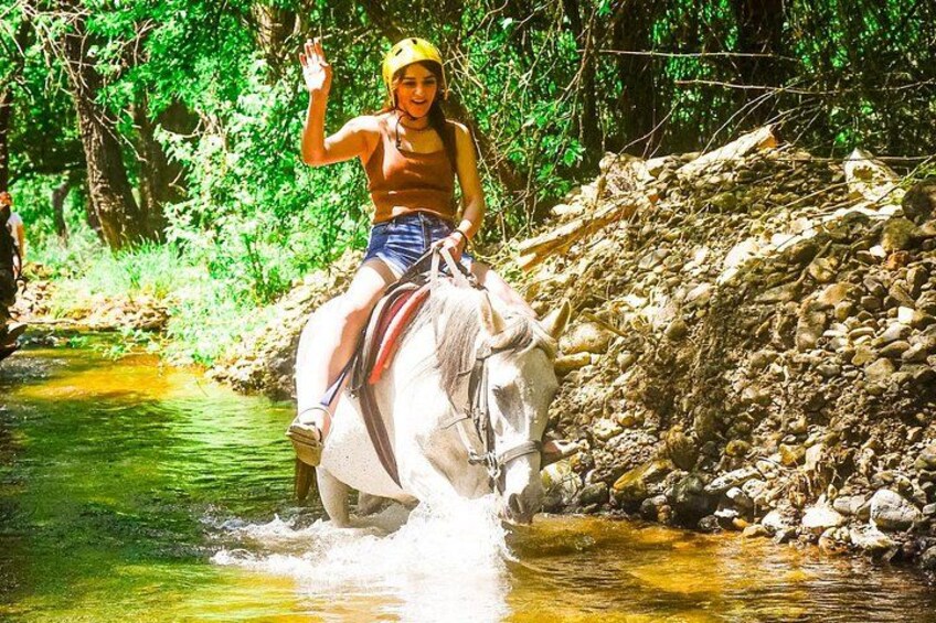 A person riding an elephant through a stream in a forested area. 3