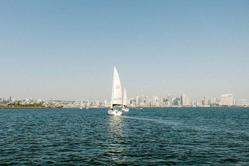 Experience San Diego Bay 5