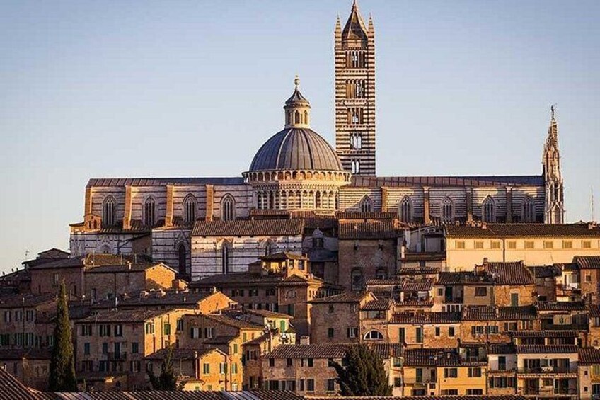 Siena 1