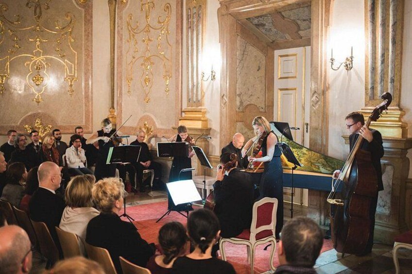 Live concert 2
