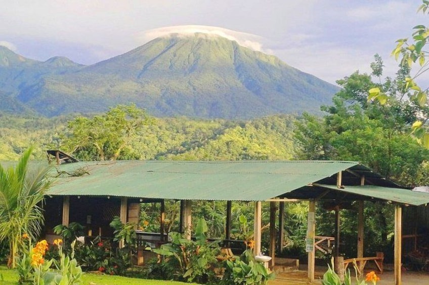 A green-roofed structure surrounded by lush vegetation and a mountain in the background. 5