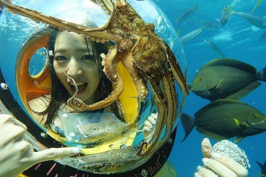 Oahu: Submarine Scooter Adventure 2