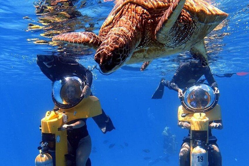 Oahu: Submarine Scooter Adventure 2