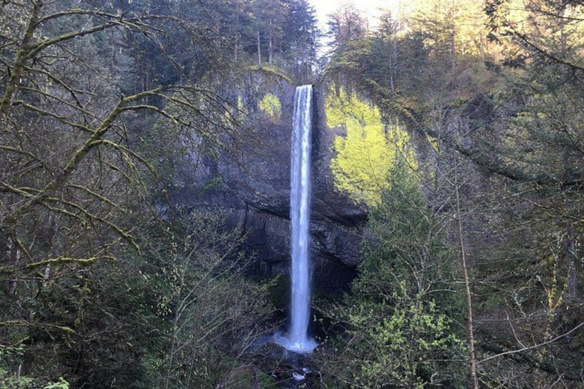 Columbia River Gorge 4