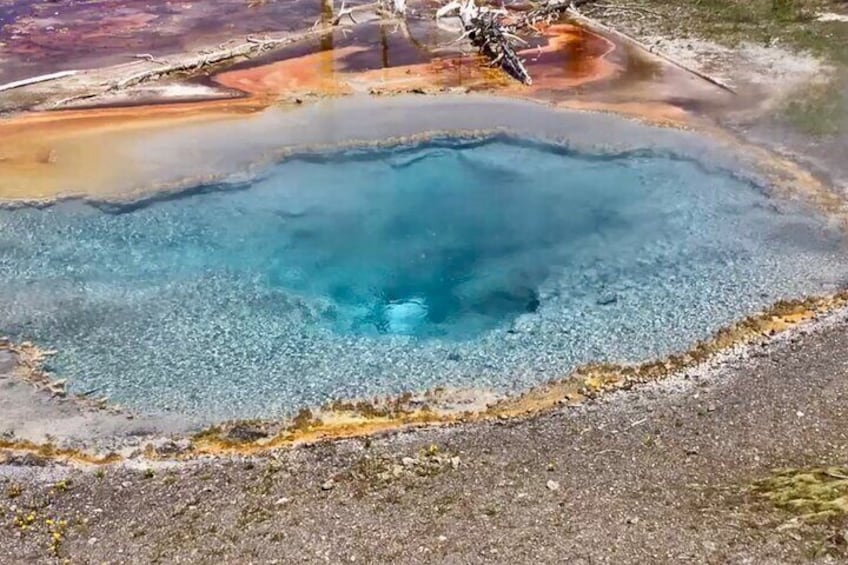 Full Day Private “Pet Friendly” Yellowstone Tour From Cody Wyo. 5