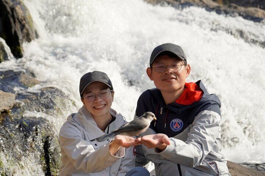 Two people holding a bird near a flowing river. 2