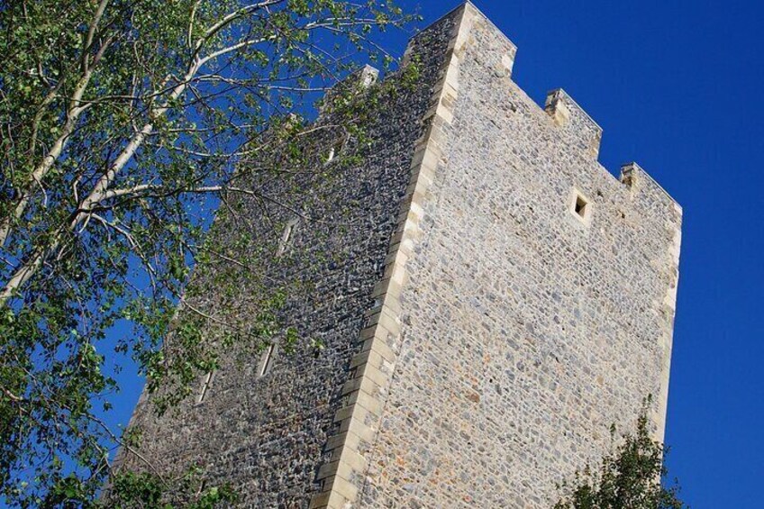 Old Castle of Celje