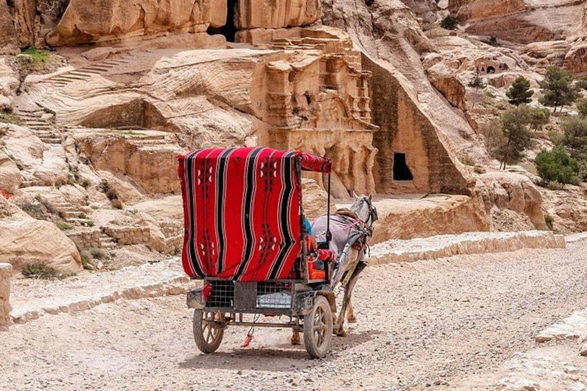 A camel with a red and black striped blanket, a cart, and a rocky landscape with ancient rock formations. 2
