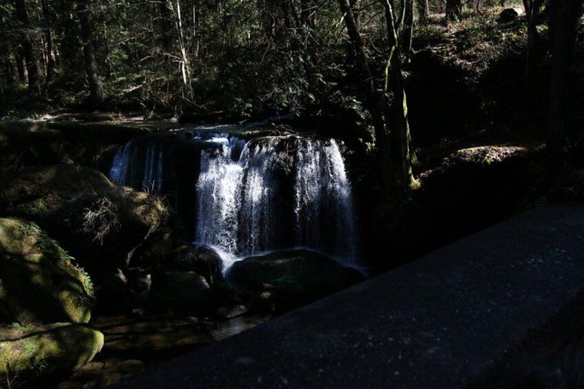 Une cascade située dans une zone boisée, avec des rochers et des arbres. 2