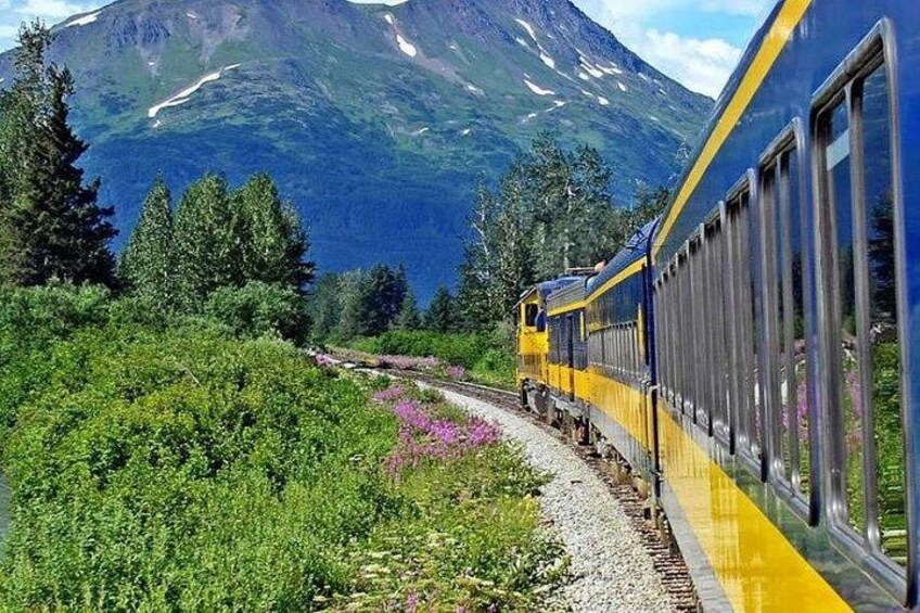Un tren viajando a través de un paisaje montañoso con abundante vegetación y cielo despejado. 2