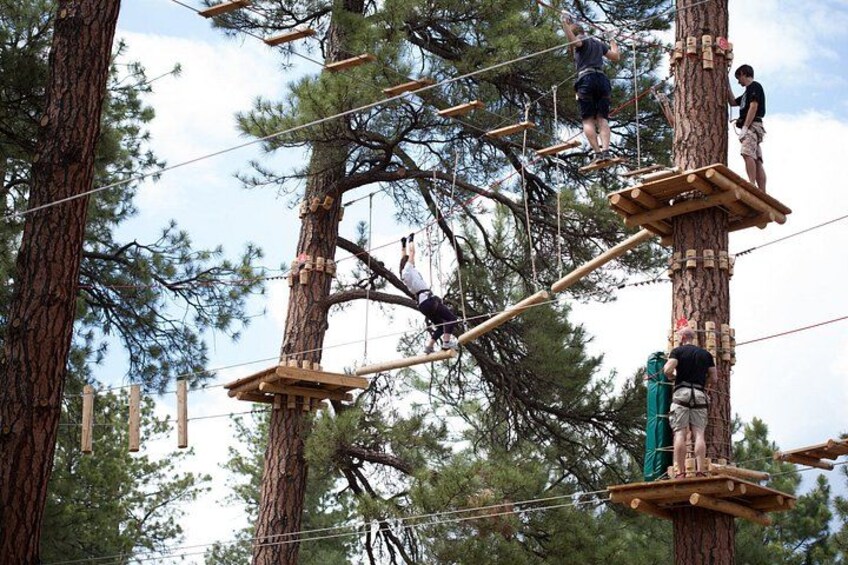 Flagstaff Extreme Adventure Course-Adult Course 4