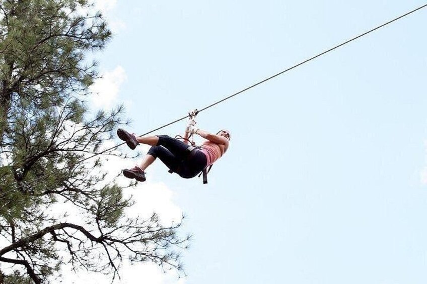 Flagstaff Extreme Adventure Course-Adult Course 2