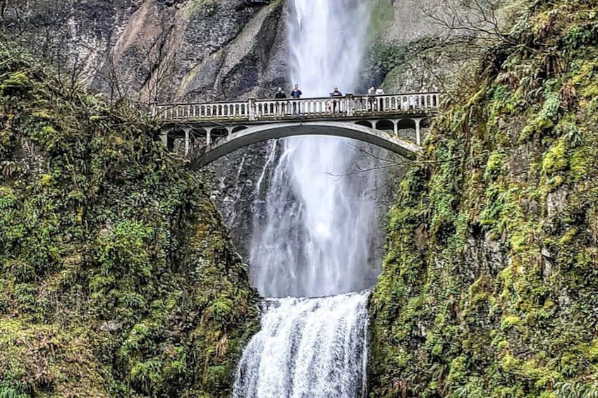 A waterfall, a bridge, and surrounding greenery. 2