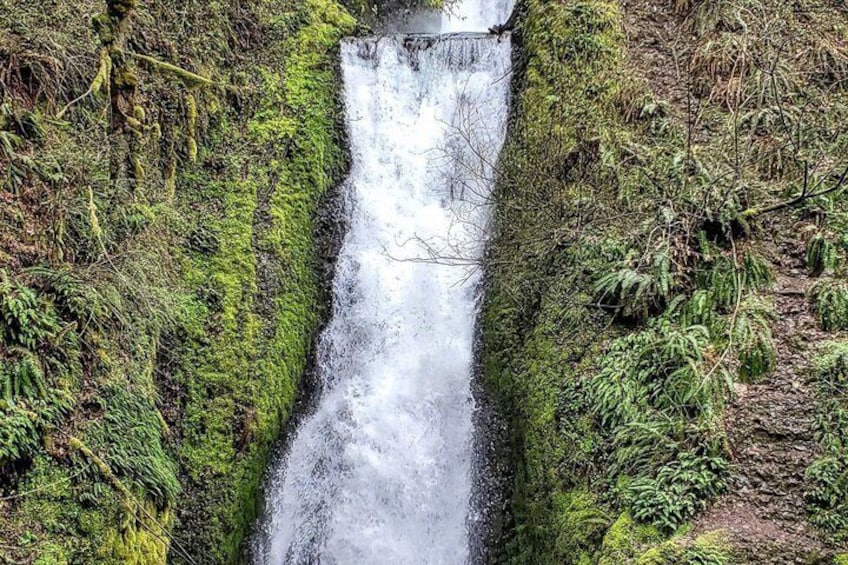 Waterfalls & Wine Tour-Multnomah Falls,Vineyards,Hood River Combo 2