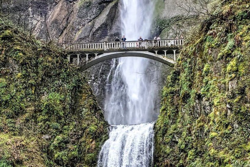 Waterfalls & Wine Tour-Multnomah Falls,Vineyards,Hood River Combo 3