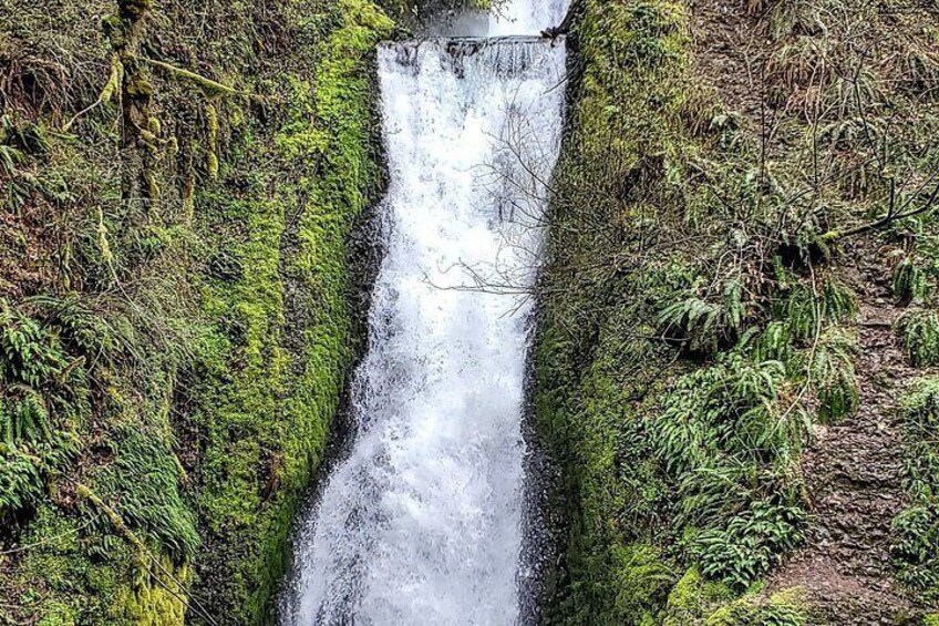 A waterfall surrounded by lush greenery. 2