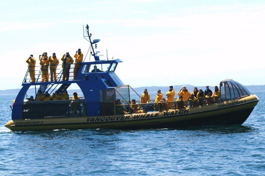 Vancouver Whale Watch Large Zodiac Tour with Guide 2