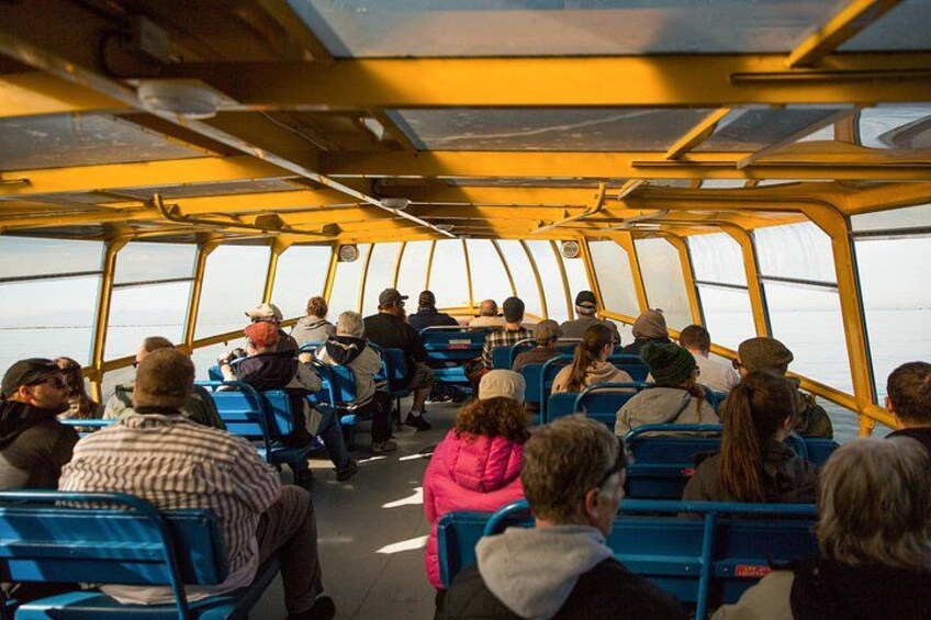 Passengers experience a half-day whale watching cruise departing from Vancouver. 2