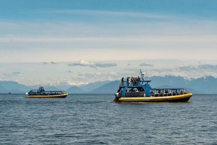 Dos barcos sobre un mar tranquilo con montañas al fondo. 4