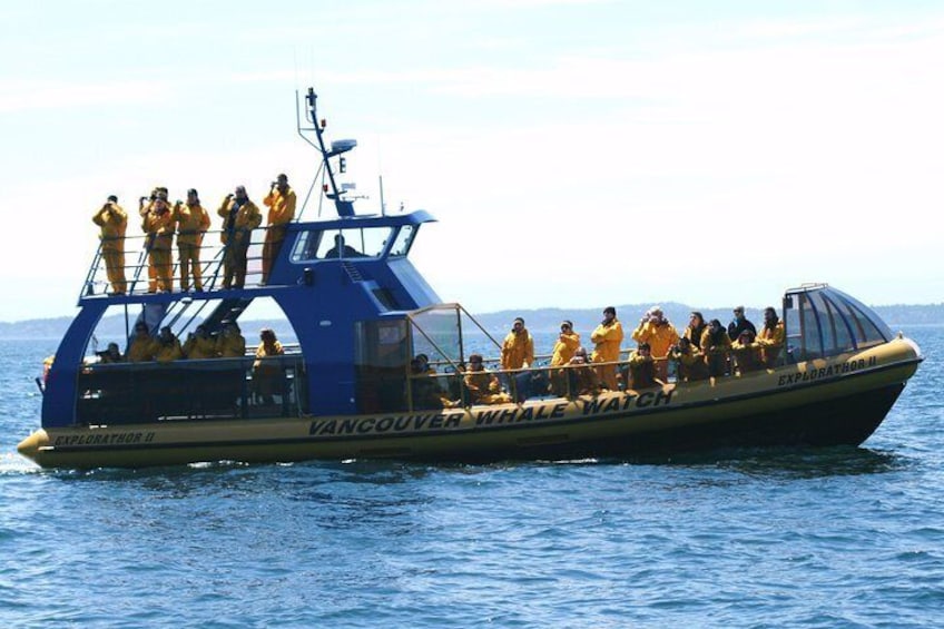Un barco llamado 'Vancouver Whale Watch' con personas que llevan chalecos salvavidas amarillos a bordo. 5