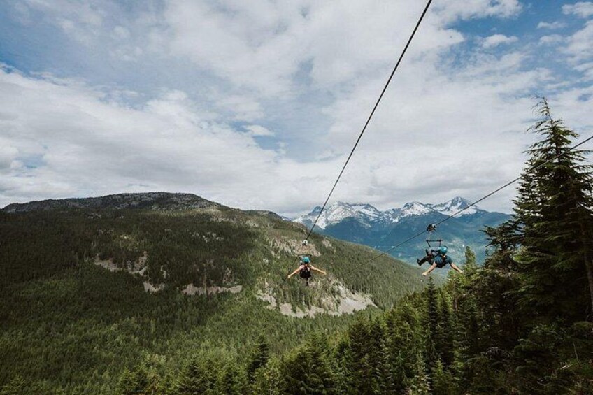 A cable car moving over a mountainous landscape with dense forest and snow-capped peaks in the background. 1