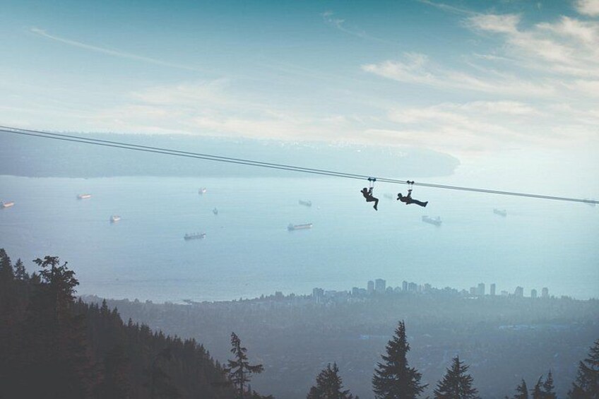 Ziplines 2