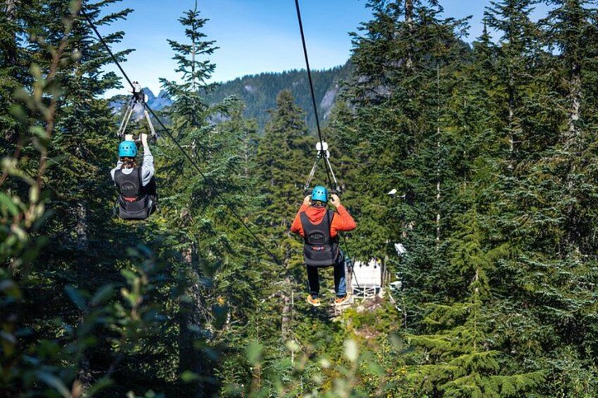 Zip Lines 2