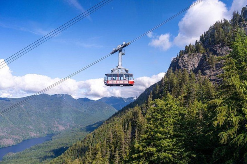 Un teleférico se desplaza sobre un paisaje montañoso con bosques densos y un lago en la parte inferior. 1