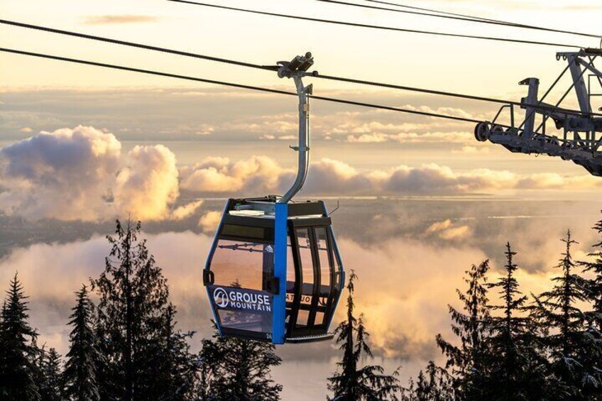 A cable car with 'Grouse Mountain' written on it, suspended above a forested mountain landscape. 3