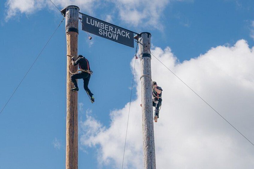Two individuals climbing utility poles with a sign reading 'Lumberjack Show' between them. 5