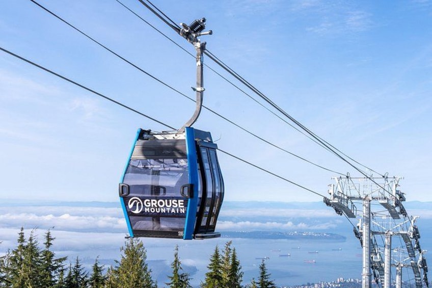 Blue Grouse Mountain in Summer/Spring 3