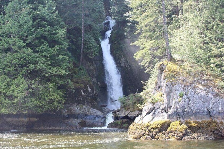 Une cascade se déversant le long d’une falaise rocheuse, entourée d’une forêt dense. 2