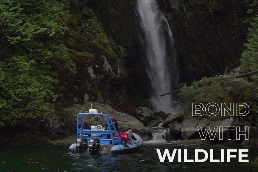 A blue boat on a river with a waterfall in the background. 2