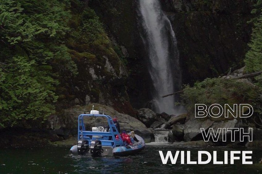 Granite Falls Zodiac Tour by Vancouver Water Adventures 2