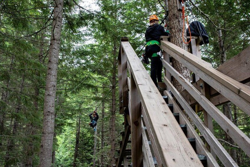 Zipline Adventure in Whistler 2
