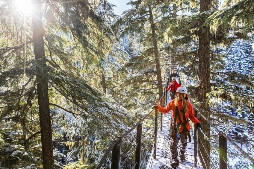In The Forest Canopy 4