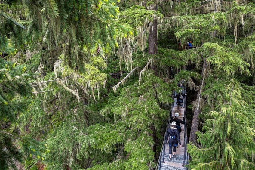 Zipline Adventure in Whistler 4