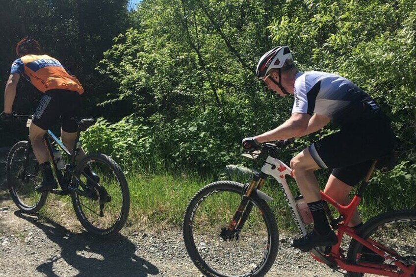 Whistler Full-Day Mountain Bike Tour