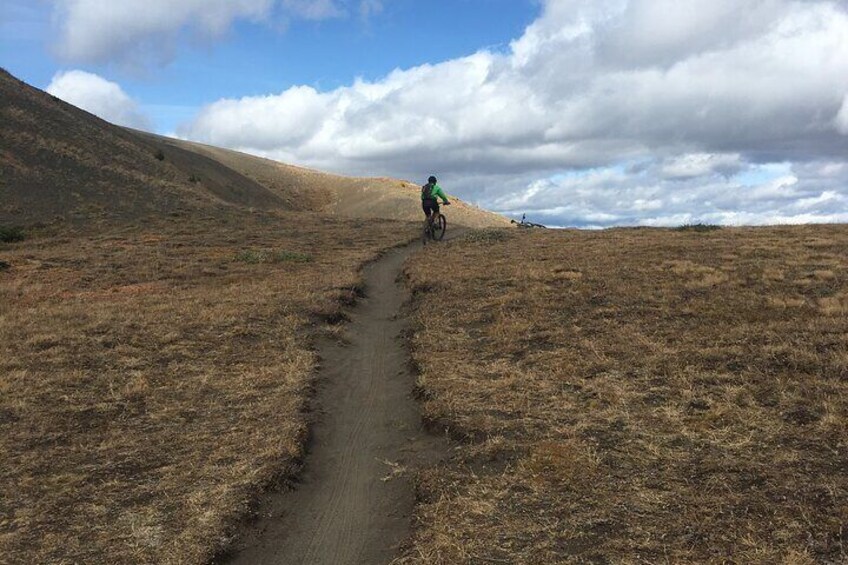 Whistler Full-Day Mountain Bike Tour