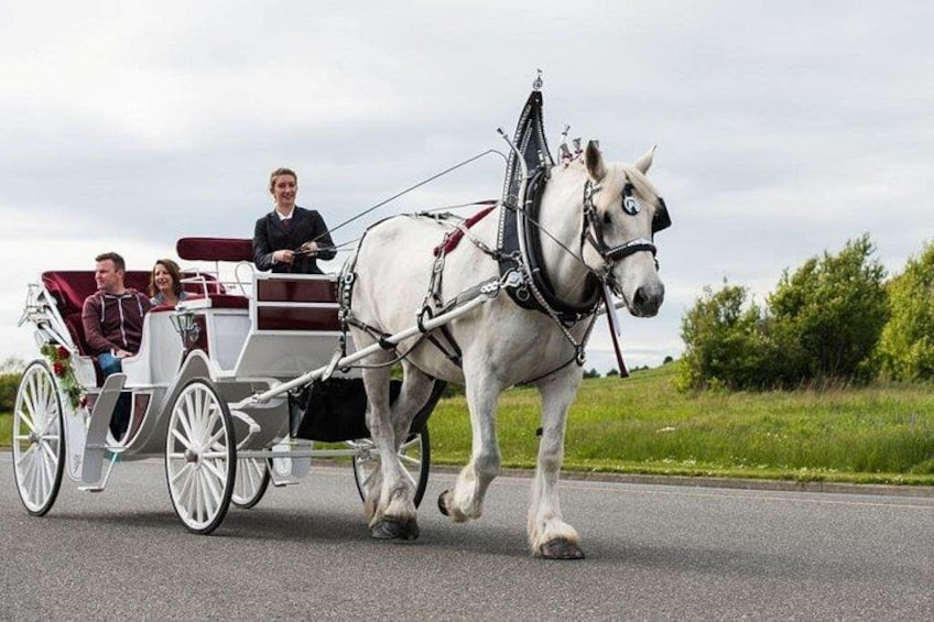 Salish Sea Horse-Drawn Carriage Tour of Victoria 3