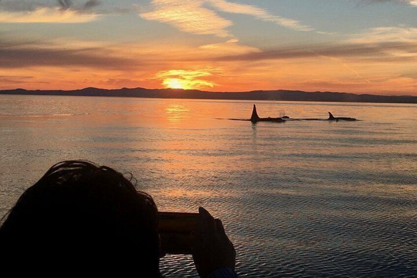 Take some amazing pictures with our expert guides 2