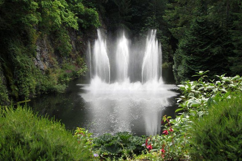 Une cascade se jetant dans un étang, le tout entouré d’une végétation luxuriante. 1